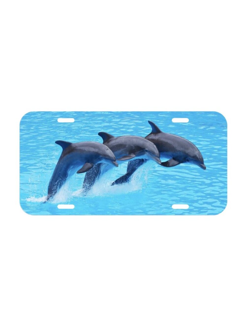 Dolphin License Plate Front Black Auto Tag Plate Dolphino Bottle Nose Ocean sea